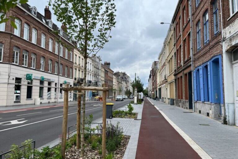 travaux-soflerino-2024-12