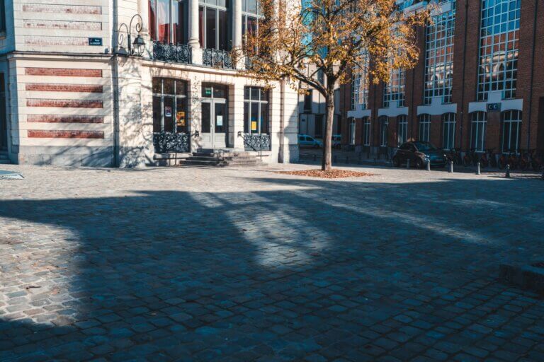 requalification-rue-collegiale-lille-2018-7